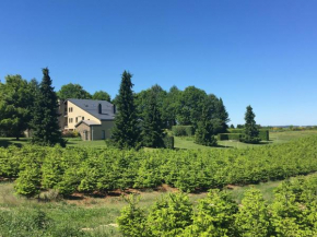 Quiet lain holiday house with a beautiful view concerning the Ardense bunches